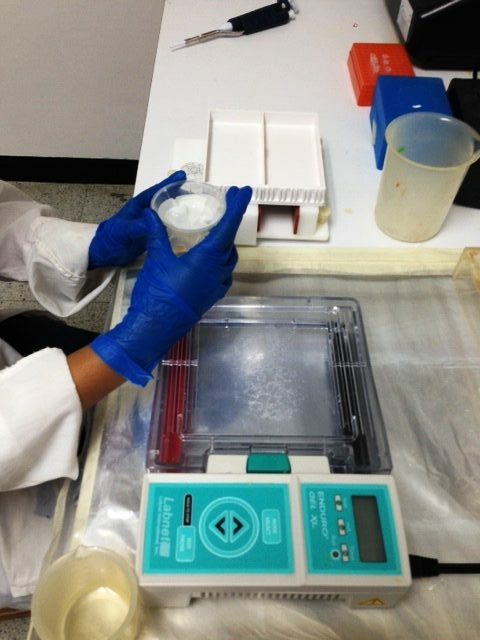 Inmunoparasitologia 6 (1)