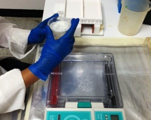 Inmunoparasitologia 6 (1)